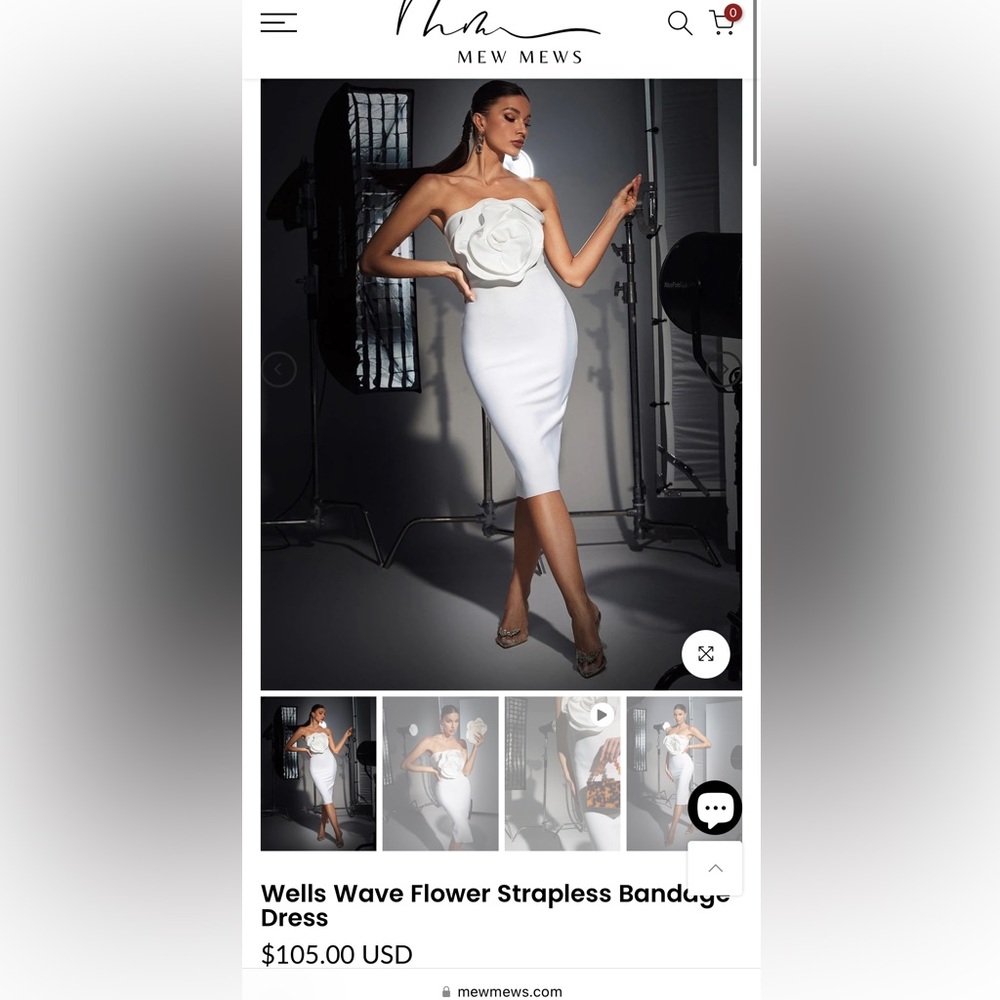 NWT mew mews dress